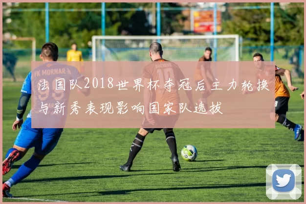 法国队2018世界杯夺冠后主力轮换与新秀表现影响国家队选拔