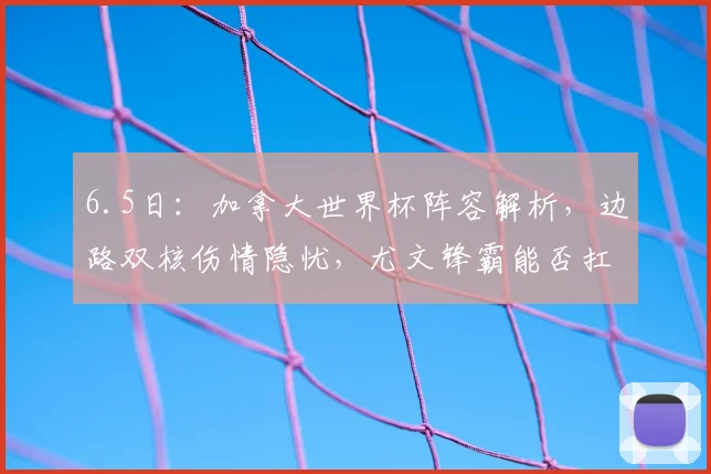 6.5日:加拿大世界杯阵容解析,边路双核伤情隐忧,尤文锋霸能否扛起重担_亚洲杯_1_NBA