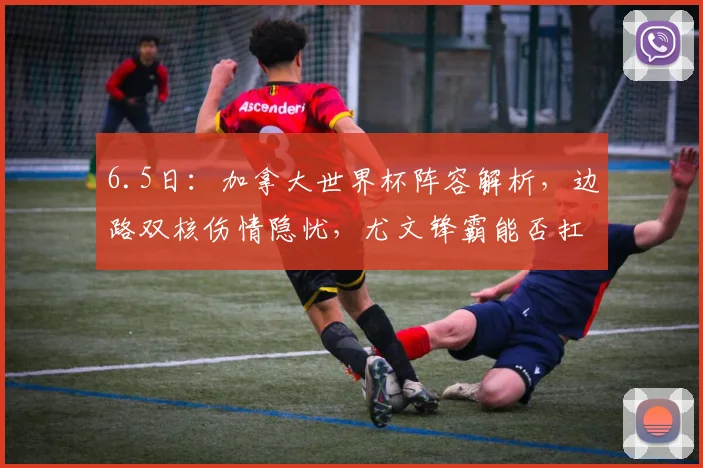 6.5日:加拿大世界杯阵容解析,边路双核伤情隐忧,尤文锋霸能否扛起重担_亚洲杯_1_NBA