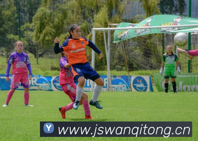 多媒体互动体验